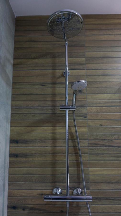 Apartmán Koa - Moon Penthouse Brašov Exteriér fotografie